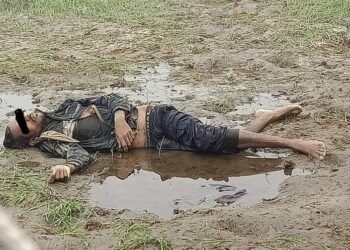 हात्ती आक्रमणबाट एकजनाको मृत्यु