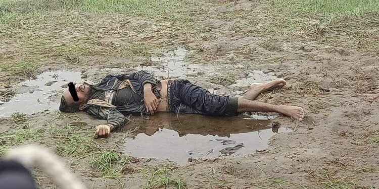 हात्ती आक्रमणबाट एकजनाको मृत्यु