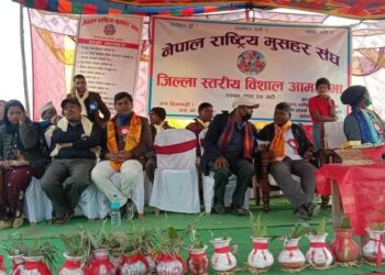मुसहरलाई राजनीतिक दलले प्रयोग गरेको आरोप