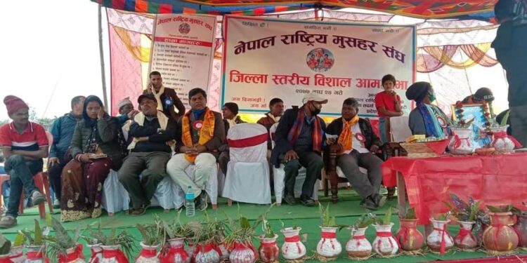 मुसहरलाई राजनीतिक दलले प्रयोग गरेको आरोप