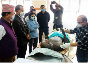 वीपी कोइराला स्वास्थ्य विज्ञान प्रतिष्ठान धरानमा नेपालमै पहिलो पटक ‘सफ्ट क्याडेभर’को तयारी