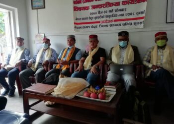 तामाङ घेदुङद्धारा जनगणना र राजनीति सम्बन्धि अन्तरक्रिया