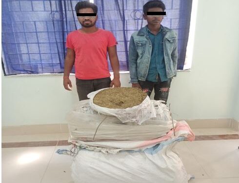 ८७ के.जी. लागूऔषध गाँजा सहित २ जना पक्राउ