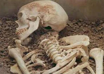 वेपत्ता दाङका संचारकर्मी देवेन्द्र वलीको कंकाल फेला