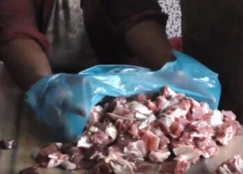 गोरुको मासु बेच्ने दुई भारतीय पक्राउ