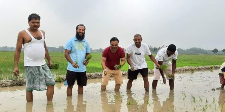 धान रोपेर नगर प्रमुख मेहताले मनाए धान दिवास