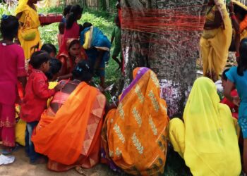 तराई मधेशका विवाहित महिलाहरुले धुमधामका साथ मनाए बटसावित्री व्रत