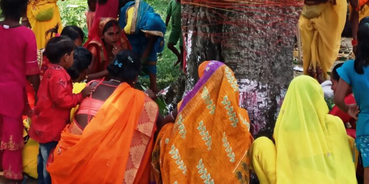 तराई मधेशका विवाहित महिलाहरुले धुमधामका साथ मनाए बटसावित्री व्रत