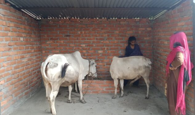 कोसीका किसानलाई गोठ उपहार