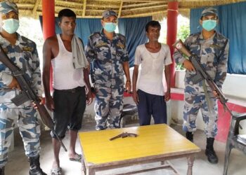 कोशीबाट कटुवा पेस्तोलसहित दाजुभाइ पक्राउ