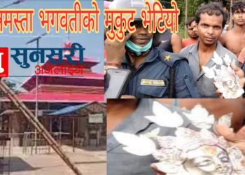 छिन्नमस्ता भगवतीको मुकुट भेटियो