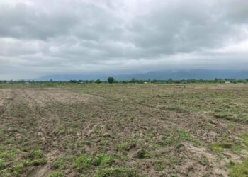 भु माफियाकाे कब्जामा सरकारी जग्गा, कबुलियती वन अन्योलमा