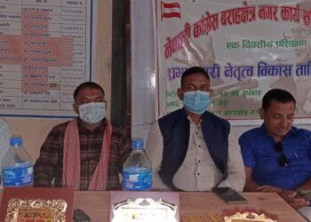 कांग्रेसको अधिवेशनले स्थानीय तहको निर्वाचनमा सहयोग मिल्छ : अंसारी