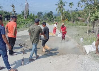 जन्म दिनको अवशरमा सडक मर्मत
