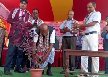 शाखा अधिकृत मेहताको पहलमा पुस्तकालय स्थापना