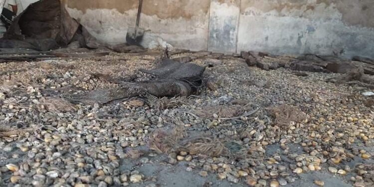 कार्तिक महिनामा परेको पानी गोदाममा बस्दा मोहिनि स्टोरको २१ लाखको क्षति