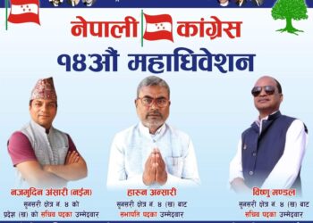 सुनसरी क्षेत्र नम्बर–४ प्रदेश सभा ‘ख’ मा हारुणको पल्ला भारी