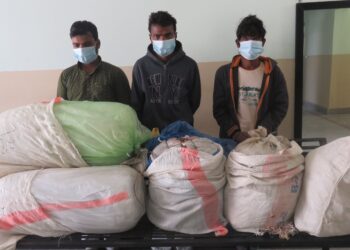 एक सय केजी गाँजासहित ३ भारतीय नागरिक सुनसरीमा पक्राउ