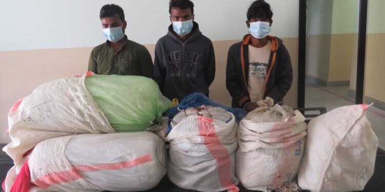 एक सय केजी गाँजासहित ३ भारतीय नागरिक सुनसरीमा पक्राउ