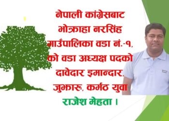 भोक्राहा नरसिंह १ को वडाध्यक्षमा राजेशको दावेदारी