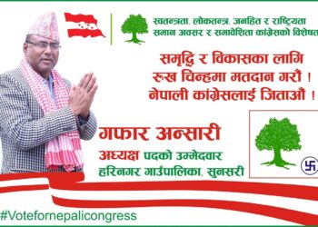 हरिनगरको अध्यक्षमा पुनः गफार अन्सरी बलियो उम्मेदवारको रुपमा चर्चा