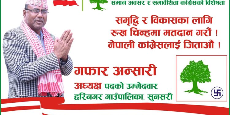 हरिनगरको अध्यक्षमा पुनः गफार अन्सरी बलियो उम्मेदवारको रुपमा चर्चा