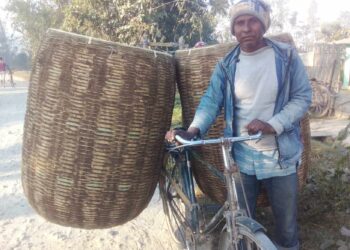 गाउँ गाउँ पुगेर भकारी बिक्री गर्दै डुम (मरिक) समुदाय