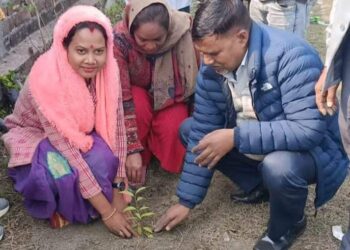 शहीद दिवसको अवसरमा भोक्राहा नरसिंहमा वृक्षारोपण