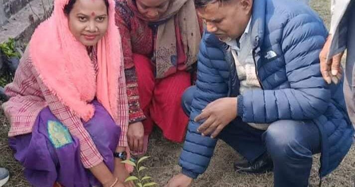 शहीद दिवसको अवसरमा भोक्राहा नरसिंहमा वृक्षारोपण