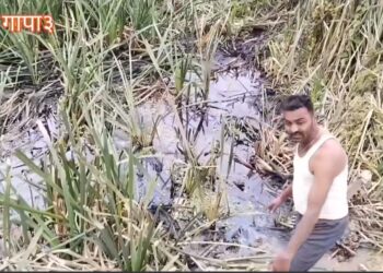 बेहुली हुन पाइन्न रञ्जु