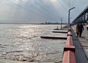 कोशीमा हाम फालेकी महिलाको उद्धार
