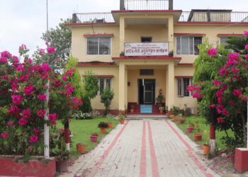 किसानलाई मुर्रा भैसी–पाडा पाडी बितरण